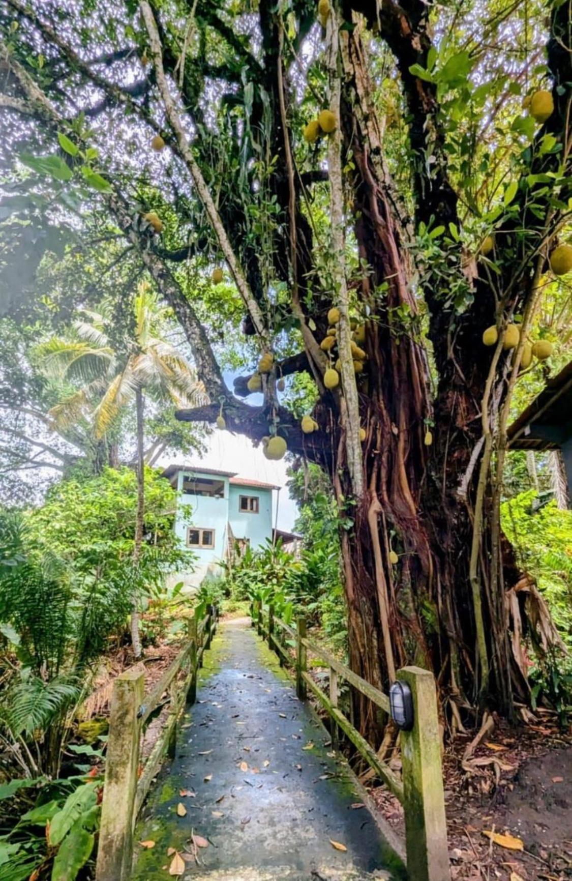 Alecrim Hostel E Pousada Velha Boipeba Exterior foto